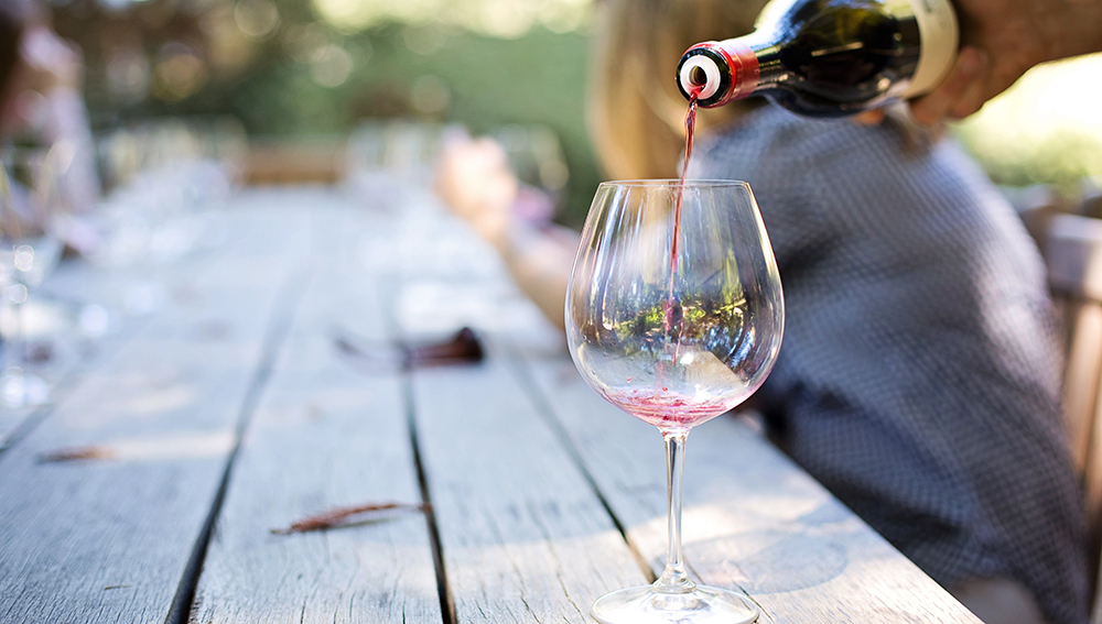Friends on a Northern Michigan wine tour